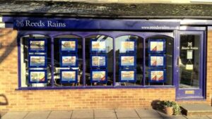 haxby 300x169