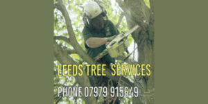 leedstreeservices 300x150
